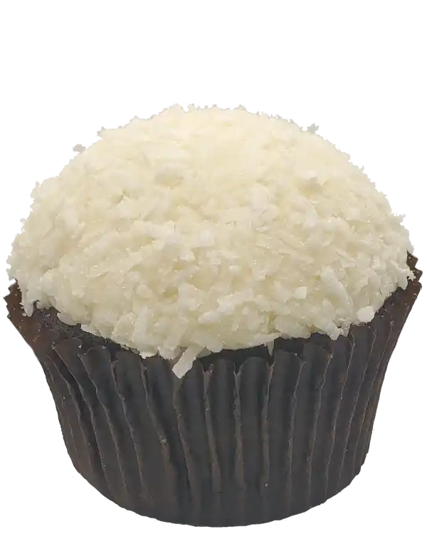 Toronto Cupcakes Chocolate Coconut cupcake with vanilla frosting and flaked coconut