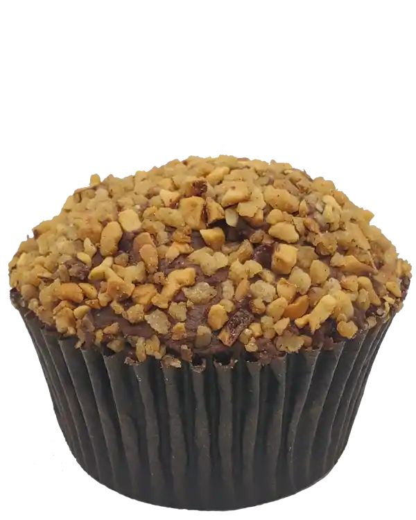 Toronto Cupcakes Chocolate Hazelnut cupcake topped with chocolate ganache and caramelized hazelnuts