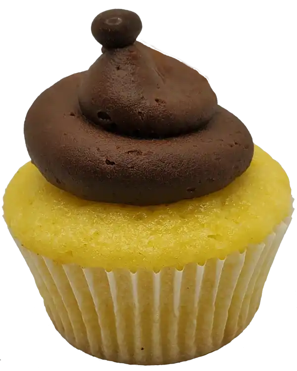 Toronto Cupcakes Vanilla Chocolate cupcake with chocolate frosting and Callebaut chocolate ball