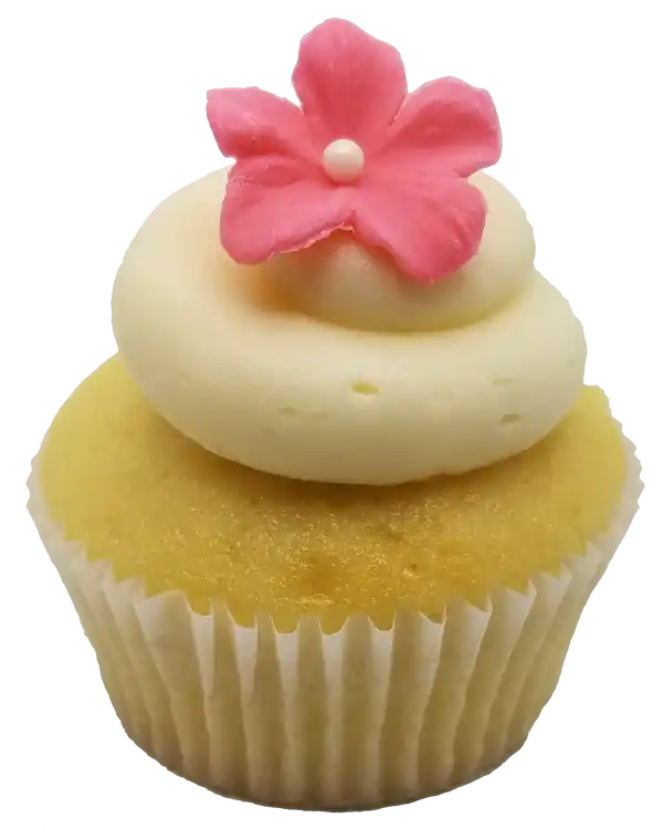 Toronto Cupcakes Vanilla Vanilla cupcake with vanilla frosting and fondant flower
