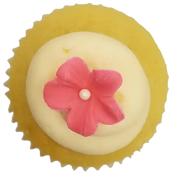 Top view of Vanilla Vanilla cupcake
